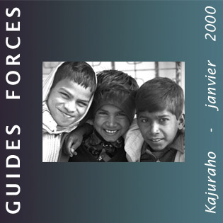 GUIDES FORCES